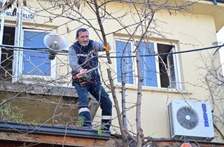 Gemlik’in Dört Bir Yanında Kent Estetiğini Güçlendiren Çalışmalar